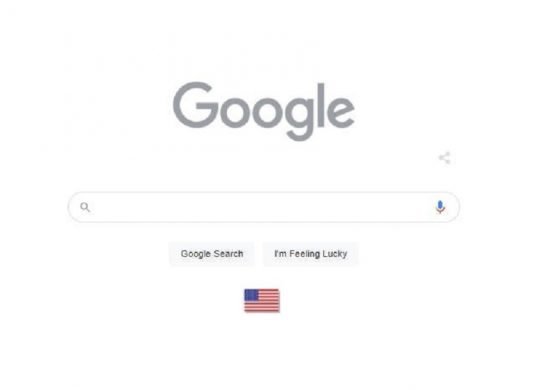 Google goes gray for Memorial Day and adds an American flag to its Google Doodle !