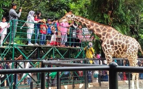 Surabaya-Zoo
