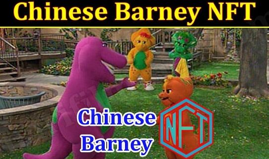 chinese barney nft