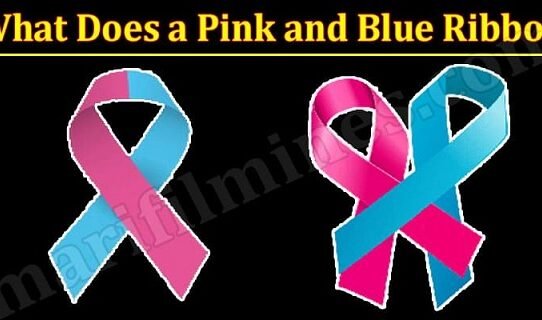 what does pink and blue ribbon