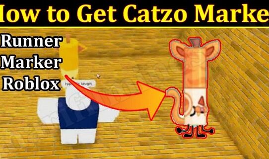 how to get catzo marker