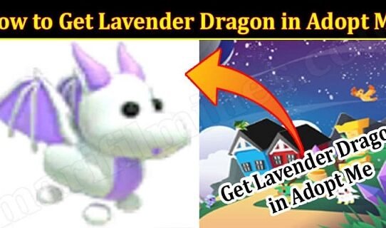 how to get lavender dragon in adopt me