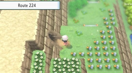 How To Get To Route 224 Brilliant Diamond