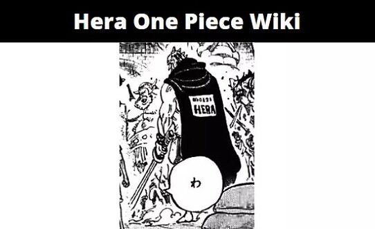 Hera One Piece Wiki