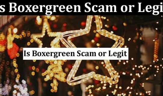 Boxergreen Review