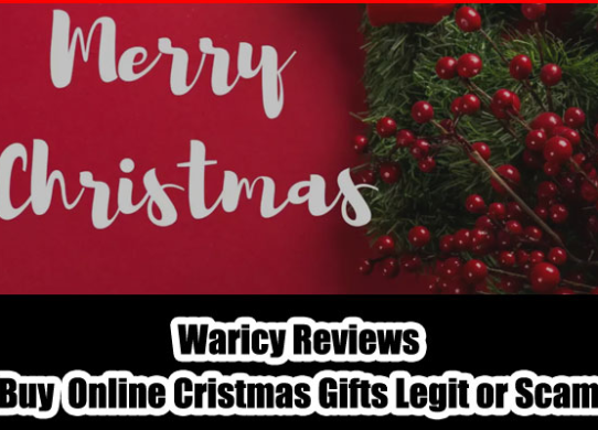 Waricy Review
