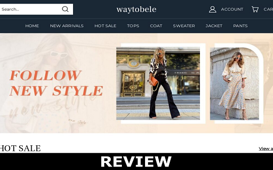 Waytobele.Com Review