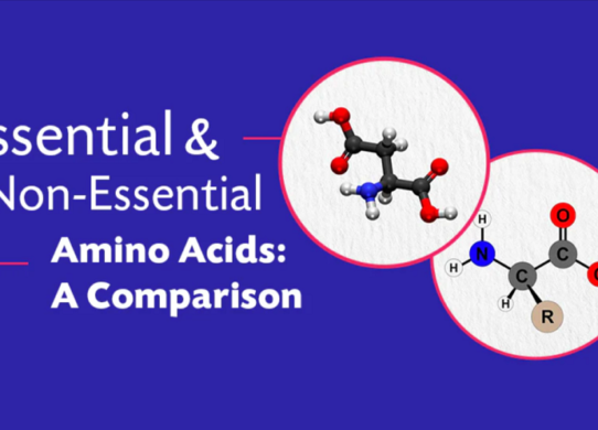 Amino Acids