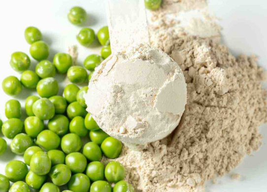 Pea Protein Vs. Whey Protein