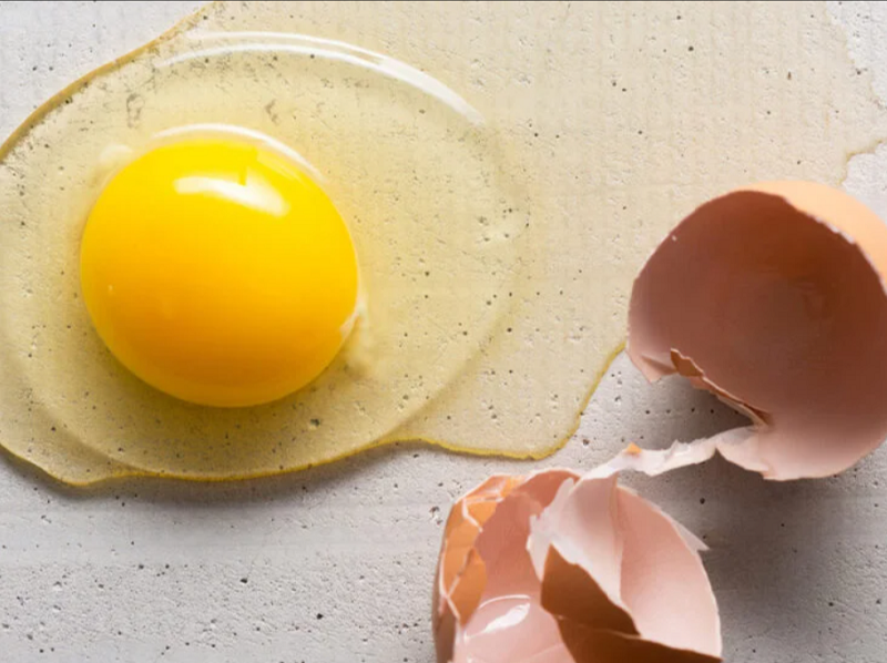 Protein In An Egg